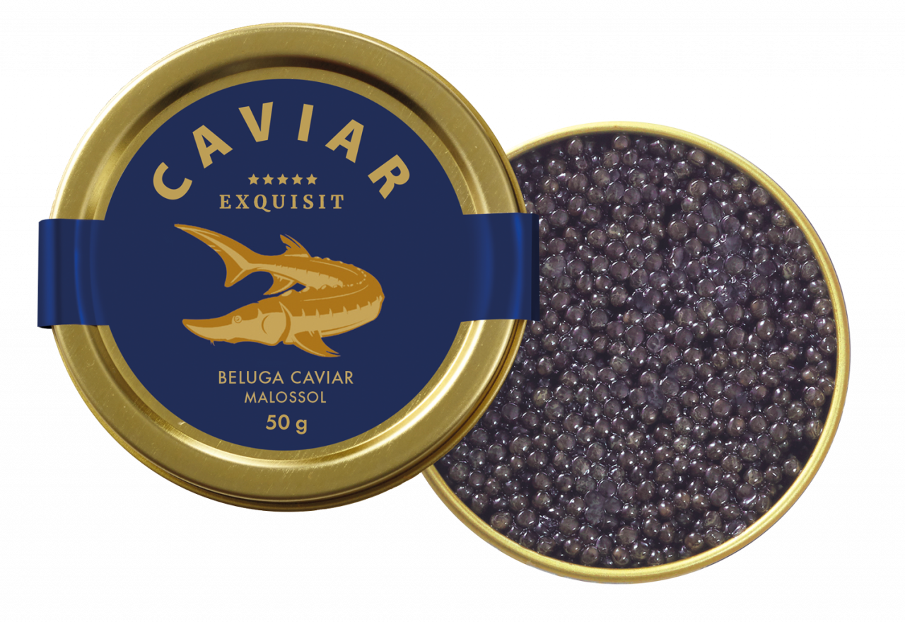 Exquisit BELUGA Stör CAVIAR Premium Linie Malossol, 50g