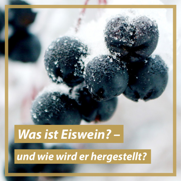 blog-teaser-bild_eiswein