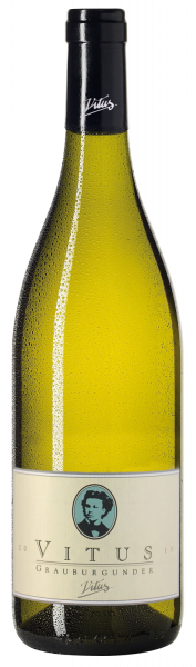 Heger Grauburgunder "Vitus" Barrique