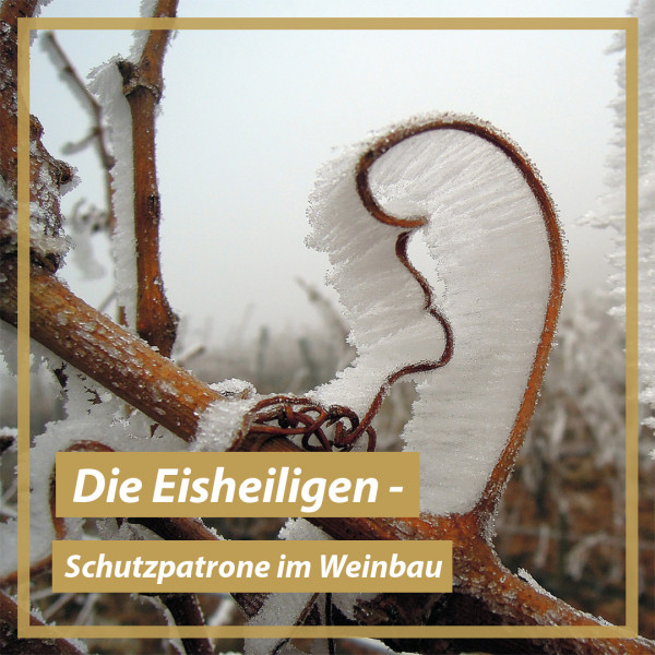 blog-teaser-bild_eisheiligen