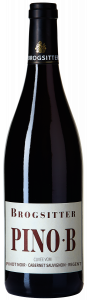 Brogsitter PINO·B Cuvée Brogsitter PINO·B Cuvée vom Pinot Noir, Cabernet Sauvignon, Regent