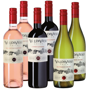 "Chilenische "Chilenische Weinampel" 3x2 Weine der Viña Valdivieso