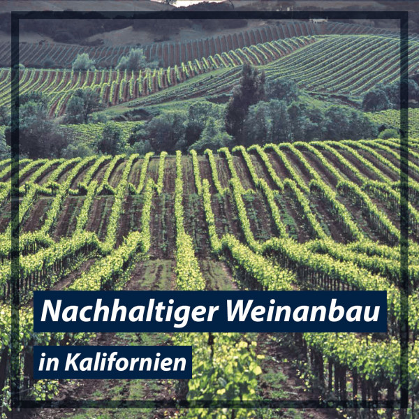 Nachhaltiger-Weinanbau-in-Kalifornien