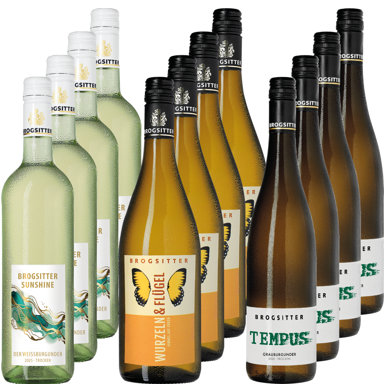 Vorteilspaket - Sommer in den Weinbergen
