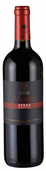 Cantine due Palme Alto Syrah Muina Puglia Salento