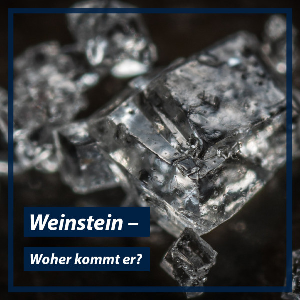 blog-teaser-bild_weinstein