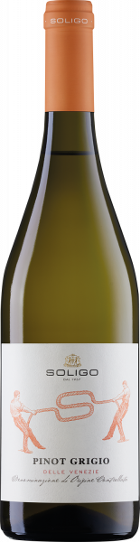 Colli del Soligo Pinot Grigio
