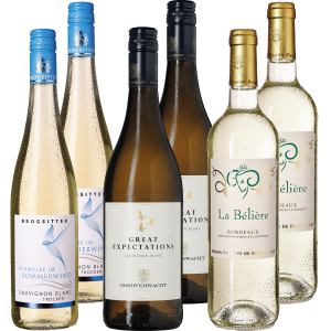 Sauvignon Blanc von Sauvignon Blanc von verschiedenen Top-Winzern