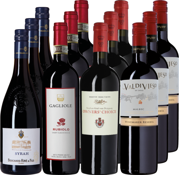 4x3 internationale Spitzenweine - Probierpaket Rotweine